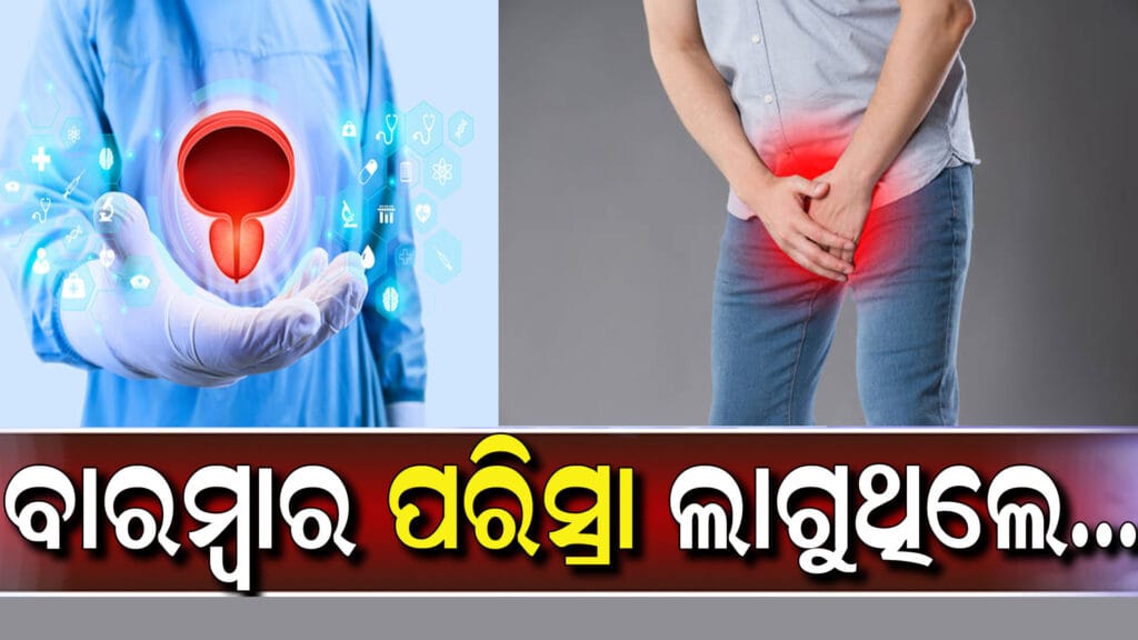ବୟସ୍କ ପୁରୁଷଙ୍କ ପାଇଁ ପ୍ରୋଷ୍ଟେଟ ସ୍ୱାସ୍ଥ୍ୟ ସଚେତନତା ଏବଂ ନିୟମିତ ଯାଞ୍ଚର ଆବଶ୍ୟକତା