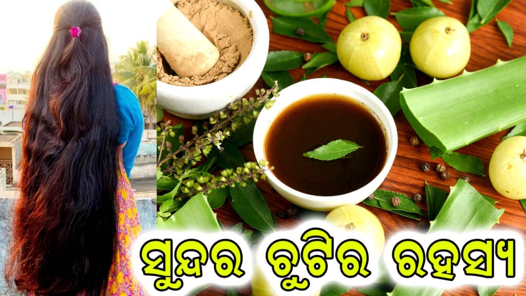 ହର୍ବାଲ୍ ହେୟାର୍ କେୟାର ଉପାୟ | ନିମ୍ବ ଓ ଆମ୍ଲା |