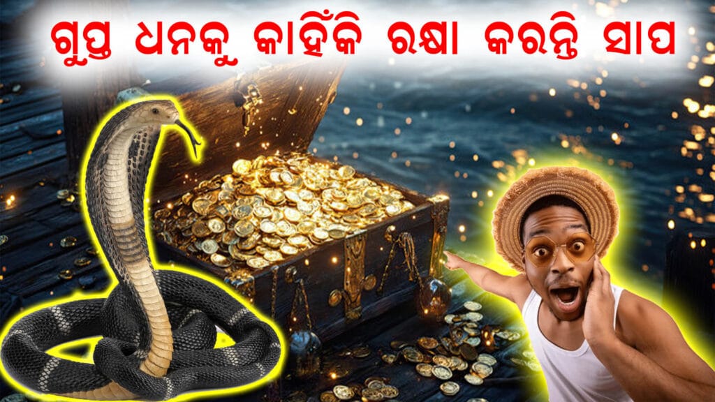 ଆଗାମୀ ଶିକ୍ଷାବର୍ଷ ୨୦୨୫-୨୬ ପାଇଁ ଦୁଇ ବର୍ଷିଆ ବି. ଏଡ଼ /ଏମ. ଏଡ଼/ବି.ଏଚ.ଏଡ଼ ପାଠ୍ୟକ୍ରମରେ ନାମଲେଖା ପ୍ରକିୟା