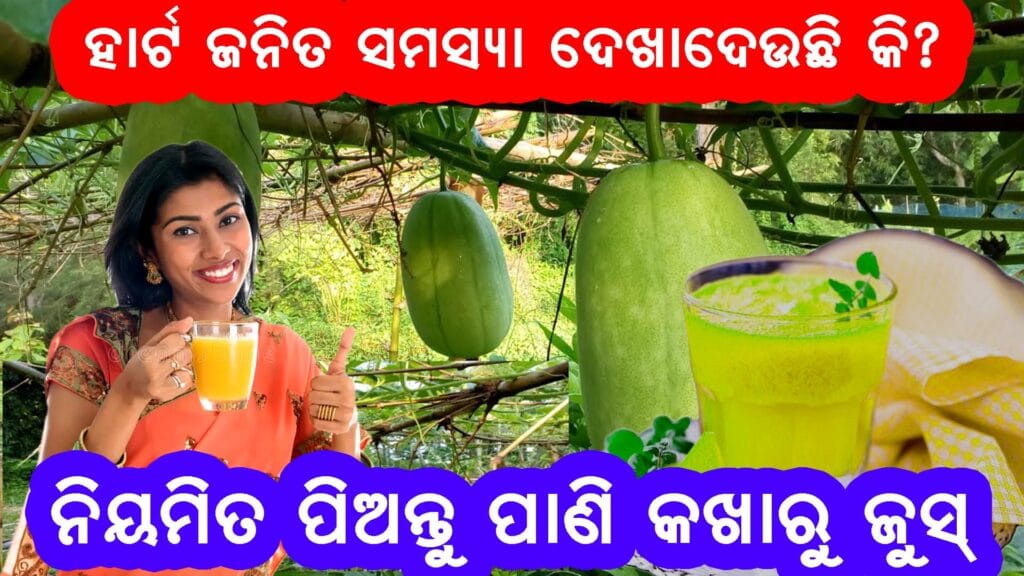ପାଣି କଖାରୁ ଜୁସ୍ ପ୍ରସ୍ତୁତି ଏବଂ ହୃଦୟ ସୁସ୍ଥତା