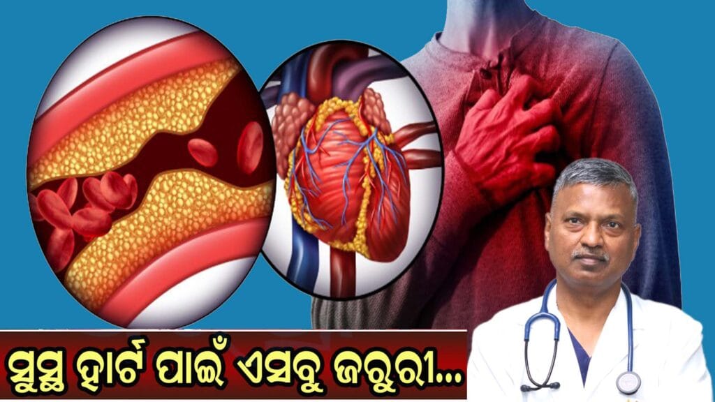"ମାନବ ହୃତ୍ପିଣ୍ଡ ର ସ୍ଥାନ ଓ ରକ୍ତ ସଞ୍ଚାଳନ ପ୍ରଣାଳୀର ଚିତ୍ର"