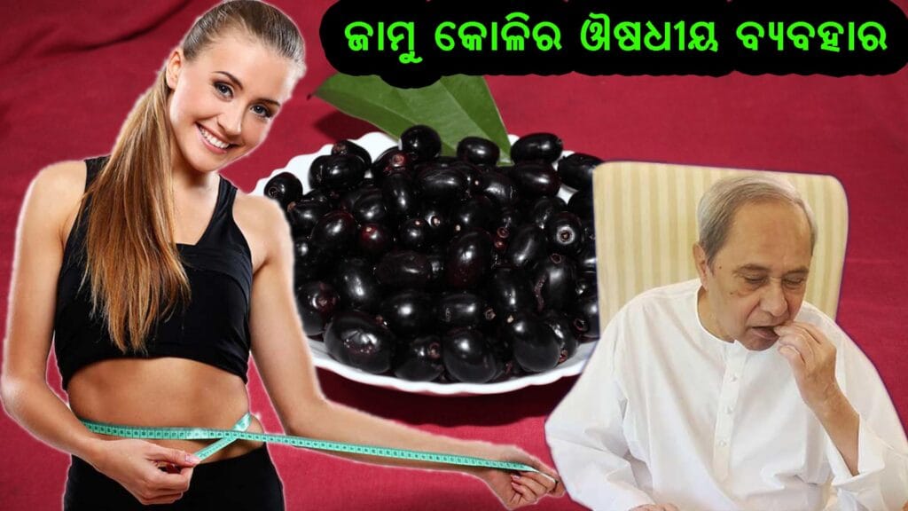 ତାଜା ଜାମୁ କୋଳି, ଜାମୁ ରସ ପ୍ରସ୍ତୁତି, ଏବଂ ବ୍ୟବହାର ପଦ୍ଧତି