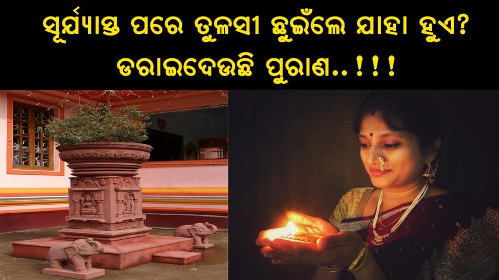 ତୁଳସୀ ଚଉରାରେ ସୁନାରୀ କଂସାରେ ଜଳୁଥିବା ଦୀପ: ପାରମ୍ପରିକ ଓଡ଼ିଆ ସନ୍ଧ୍ୟା ଆରତି
