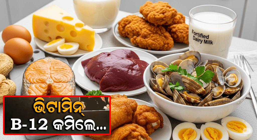 ଭିଟାମିନ୍ B12: ଏକ ପ୍ଲେଟରେ B12 ଯୁକ୍ତ ଖାଦ୍ୟ (ଅଣ୍ଡା, ଚୁନା ମାଛ, ଛତୁ, କ୍ଷୀର), B12 ଅଭାବର ଲକ୍ଷଣ ଚାର୍ଟ, ରକ୍ତ ପରୀକ୍ଷା ସିରିଞ୍ଜ ଓ ଭିଟାମିନ୍ ଟାବଲେଟ୍। ଶରୀରରେ B12 ର ଗୁରୁତ୍ଵ ଦର୍ଶାଉଥିବା ଭିଜୁଆଲ୍।